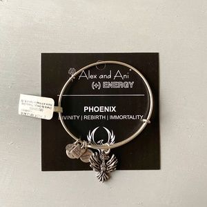 Alex and Ani Charm Bangle